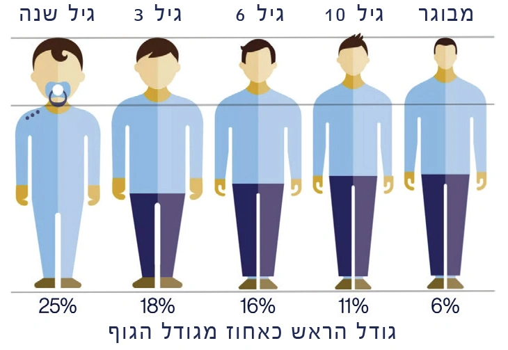 גודל-הראש-בילדים-לעומת-מבוגרים